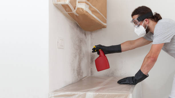 Professional Mold Testing technician working in Kingston, NY