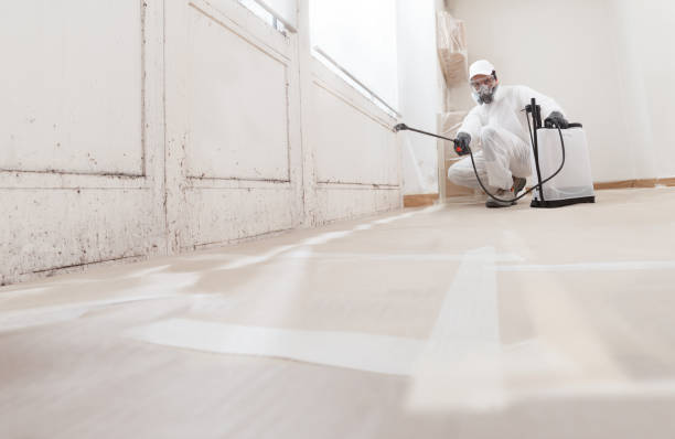 24/7 Emergency Mold Testing experts in Kingston, NY