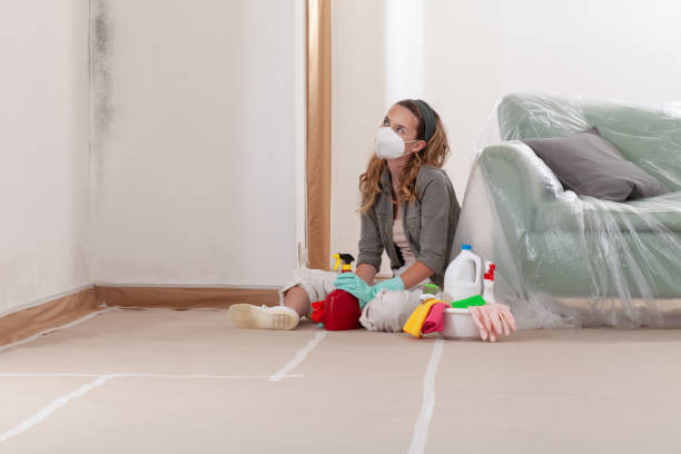 Reliable Mold Testing contractor in Kingston, NY by WQB Mold Removal